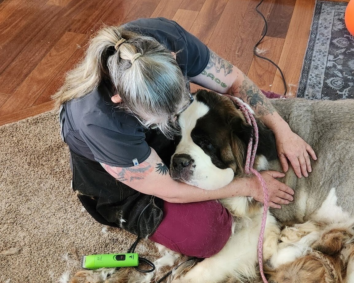 pet img