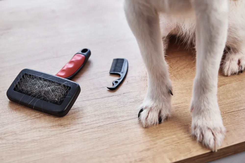 Excessive shedding