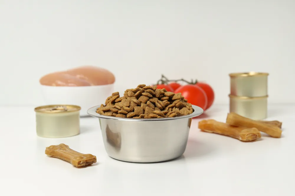 High-protein dog food